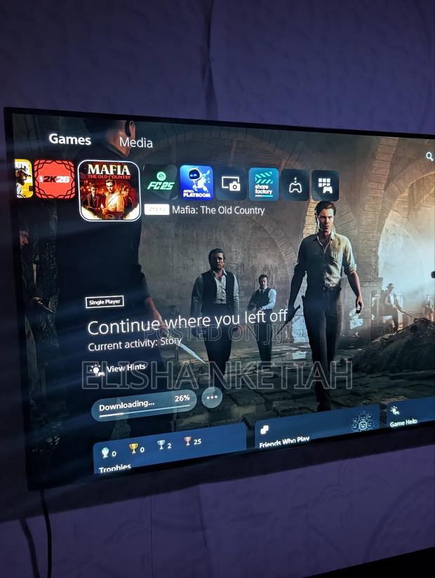 Mafia the Old Country Ps5 Shared Account