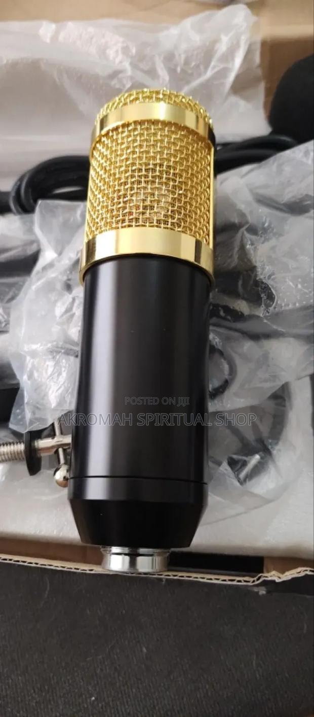 Professional Condenser Studio Microphone photo 5