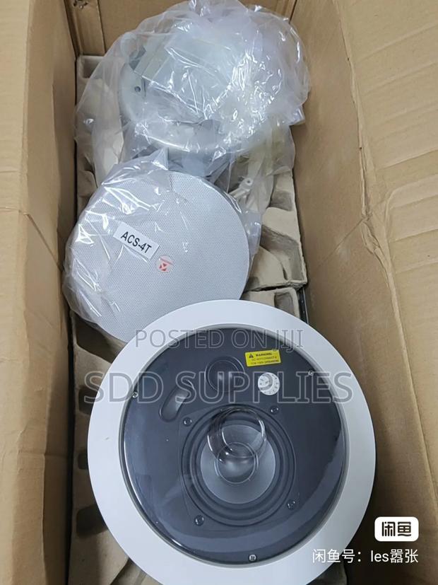 A Pair Of High Power 100 Watts Ceiling Speaker Tendzone