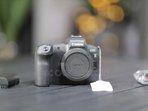 Canon Eos R + Ef-rf Adapter + 8months Warranty photo 7