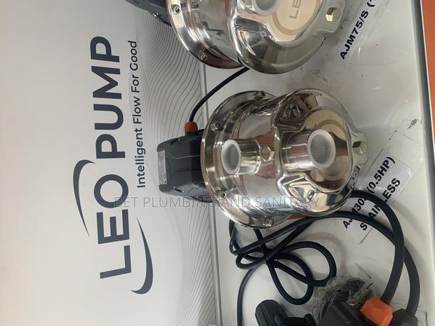 Accurate Leo 0.5hp Water Pump_stainless · Photo 4