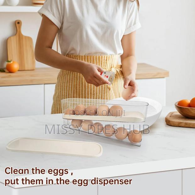 2 Layer Rolling Egg Dispenser/ Holder photo 6
