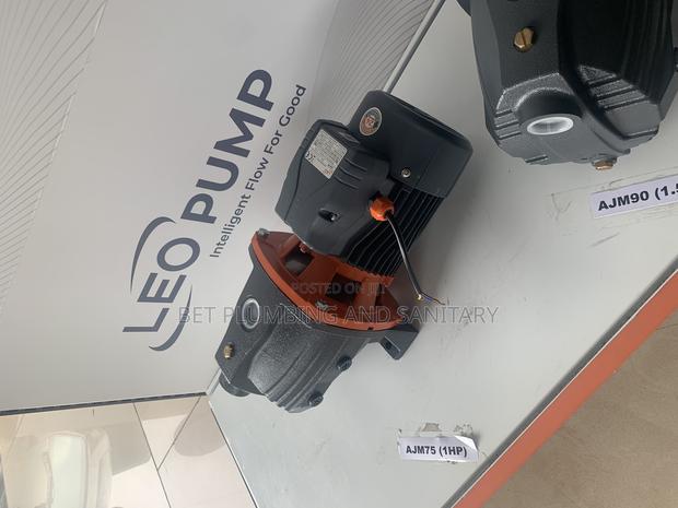 Complete Leo 1hp Water Pump · Photo 4