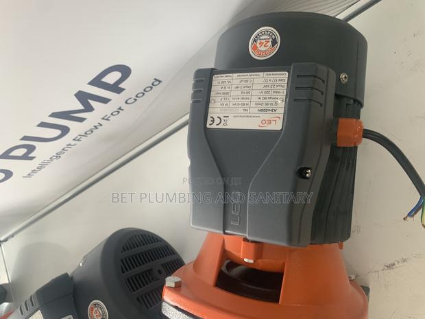Accurate 1hp Leo Water Pump_ · Photo 3
