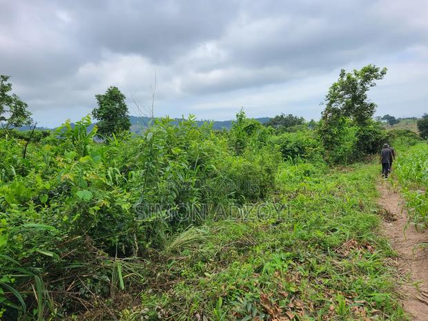 5000 Acres Farm Land For Sale Or Lease