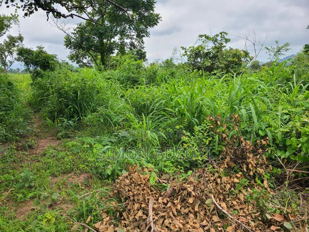 5000 Acres Farm Land For Sale Or Lease