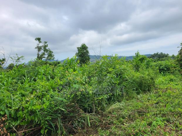 5000 Acres Farm Land For Sale Or Lease