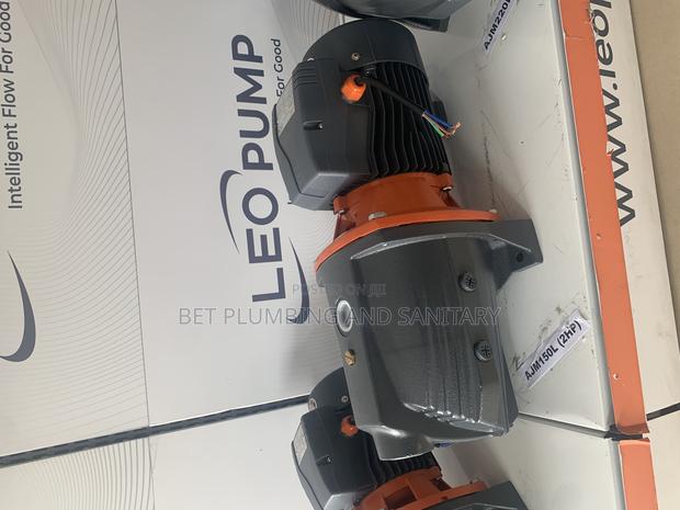 Accurate Leo. 2hp Water Pump · Photo 2