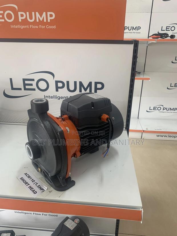 Short Head Leo 1.5hp Water Pump · Photo 2