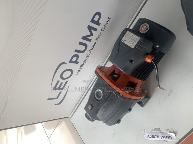 Accurate Leo 1hp Water Pump · Photo 2