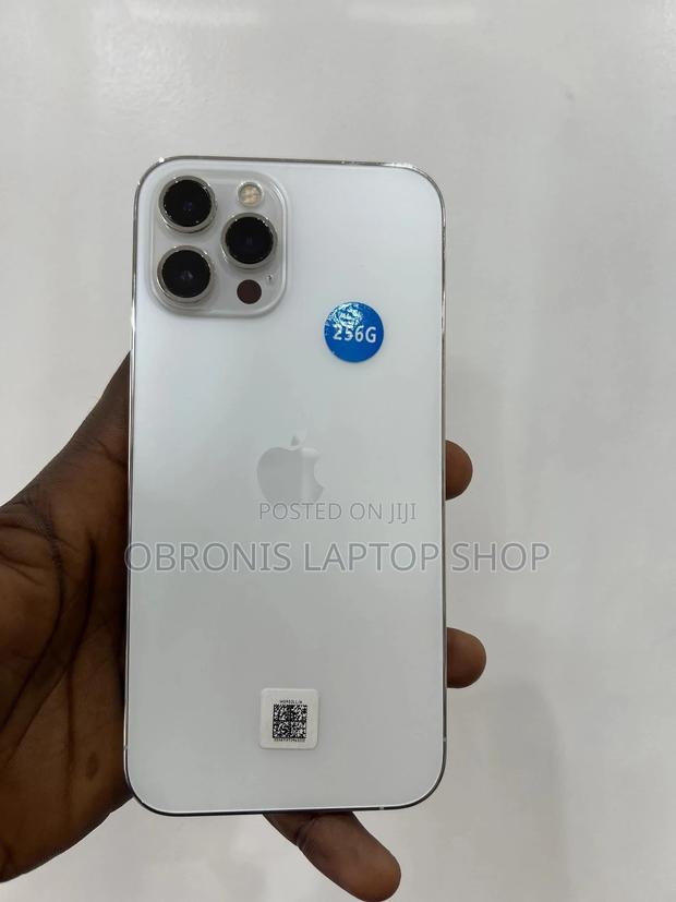 Apple iPhone 12 Pro Max 256 GB Silver