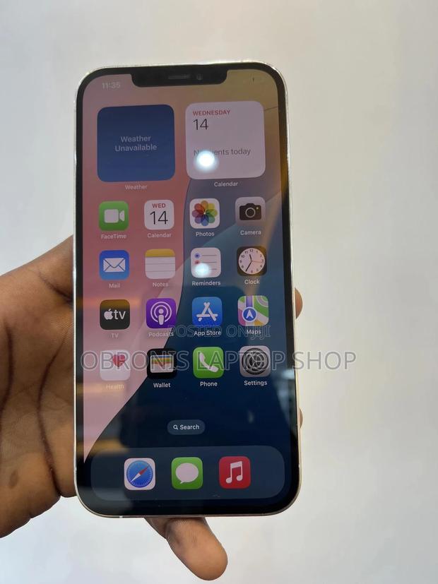 Apple iPhone 12 Pro Max 256 GB Silver photo 2
