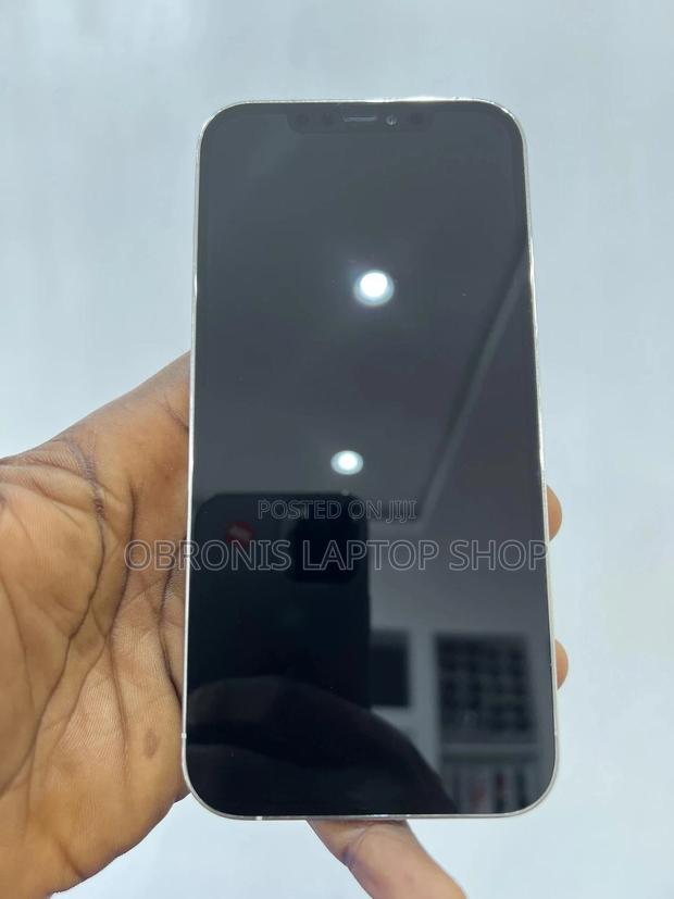 Apple iPhone 12 Pro Max 256 GB Silver photo 3
