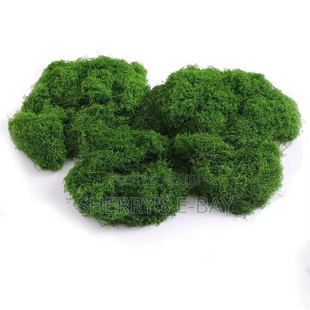 Artificial Moss photo 2