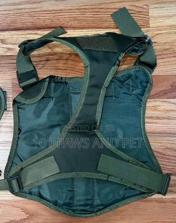 No Pull Tactical Harness · Photo 3