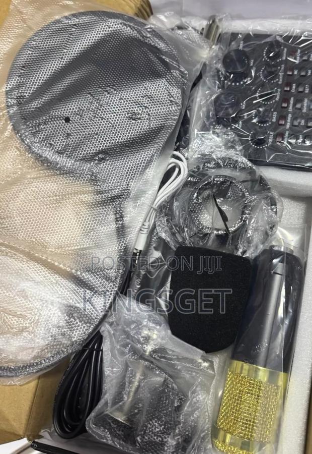 Professional Condenser Microphone photo 2