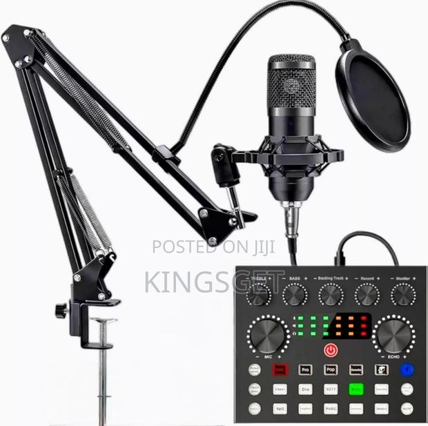Professional Condenser Microphone