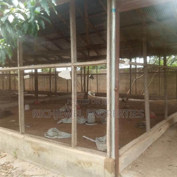 Poultry Farm for Rent in Tamale · Photo 4