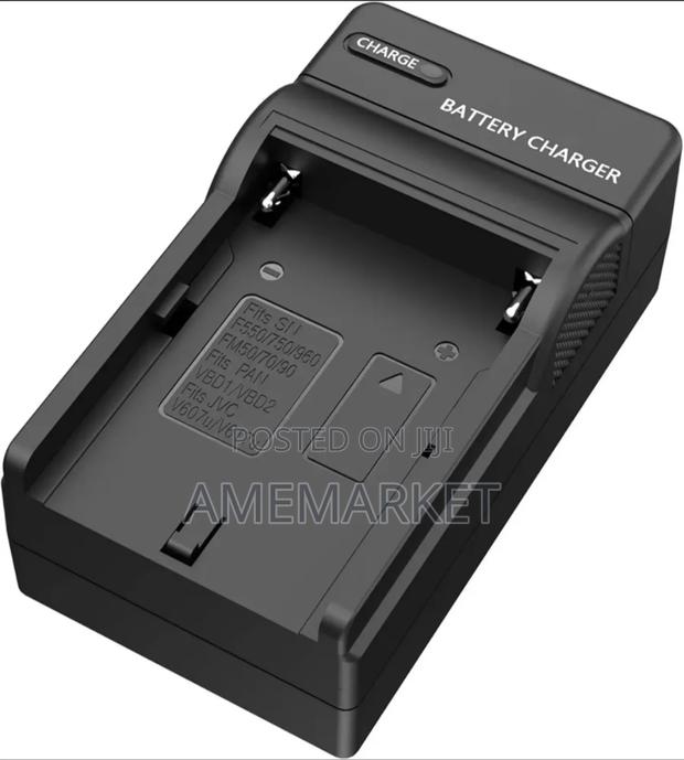 Universal Battery Charger for Sony F550, F570 Lithium-Ion Battery · Photo 2