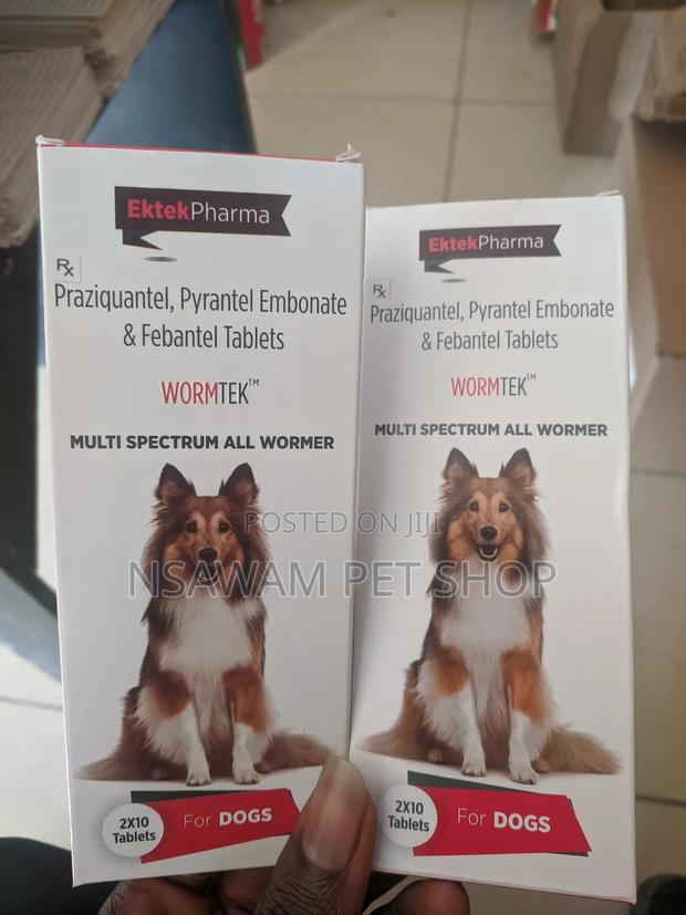 Wormtek Tablet · Photo 3