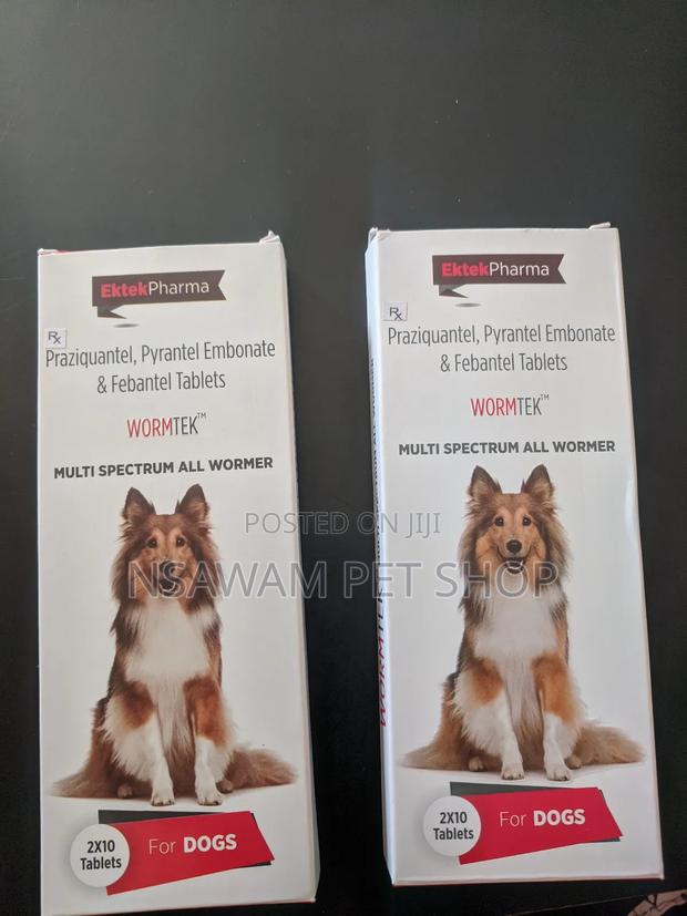 Wormtek Tablet · Photo 4