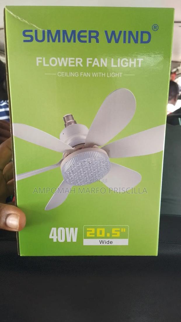 Lamp Holder Ceiling Light With Fan