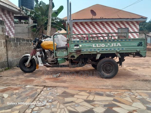 Luojia Cargo Tricycle 2021 Green · Photo 4