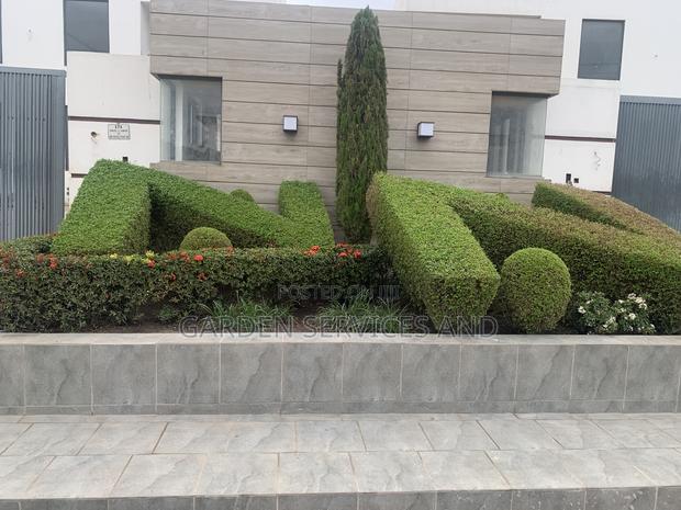 Call for Your Garden and Landscaping Project photo 13