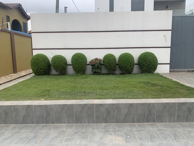 Call for Your Garden and Landscaping Project photo 2