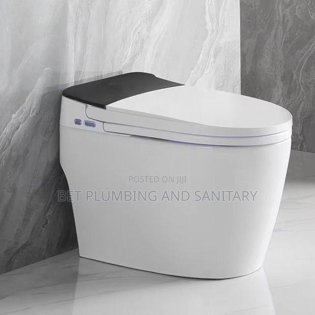 Imported Smart Water Closet_electric Wc _Sensor Wc_remote Control Wc · Photo 3