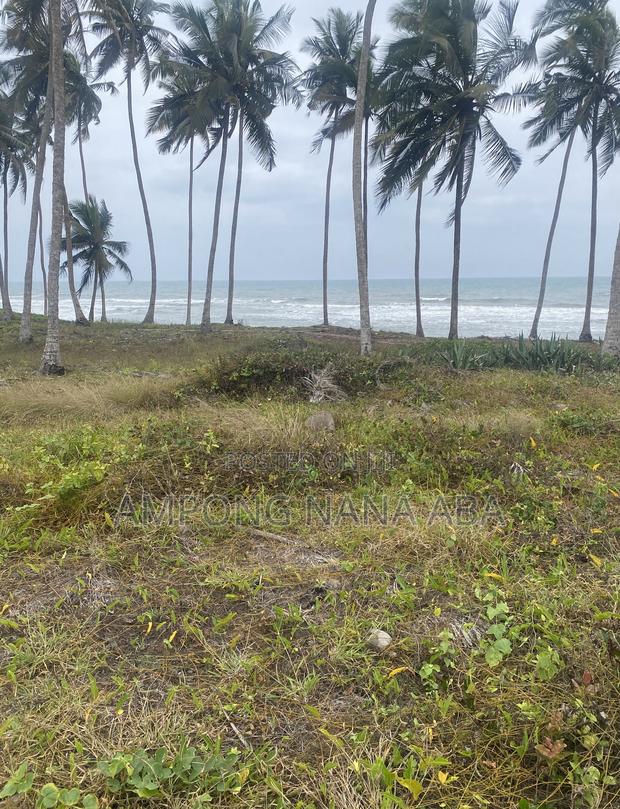Beach Front Land at Senya Beraku 1acre Available · Photo 1