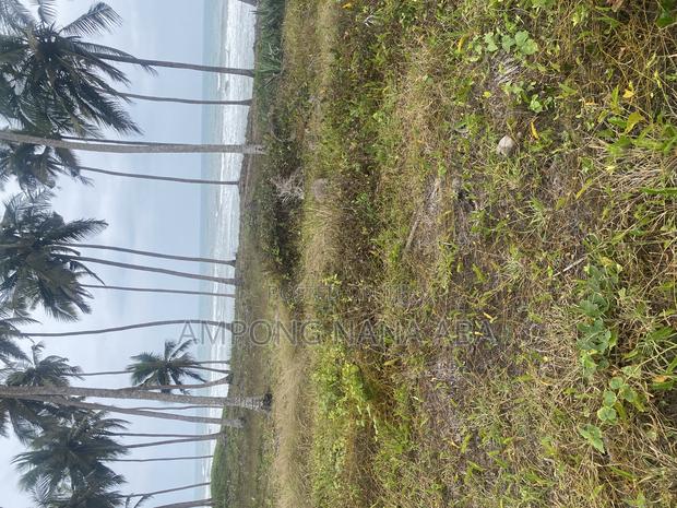 Beach Front Land at Senya Beraku 1acre Available · Photo 2