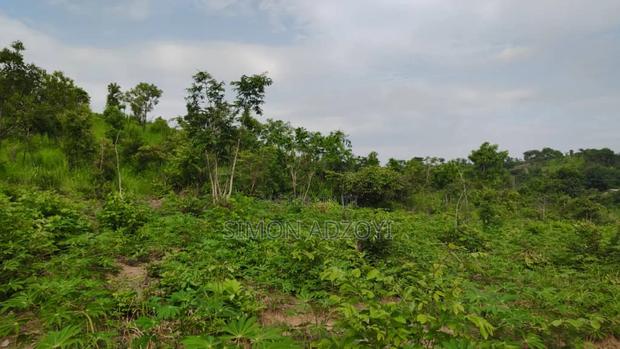 1000 Acres Close to Volta Lake