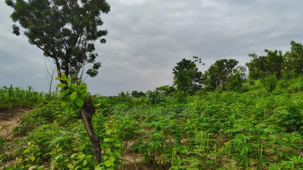 1000 Acres Close to Volta Lake