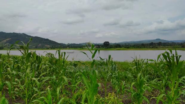 1000 Acres Close to Volta Lake