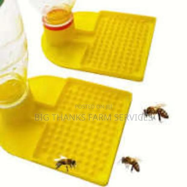 Bee Drinkers · Photo 3
