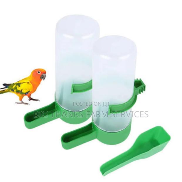 Parrot, Pigeon Drinker/Feeders · Photo 2