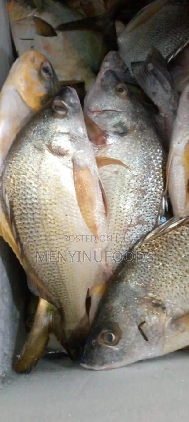 Fresh Sea Bream in Ghana – Wholesale Retail | Direct From the Sea · Photo 1