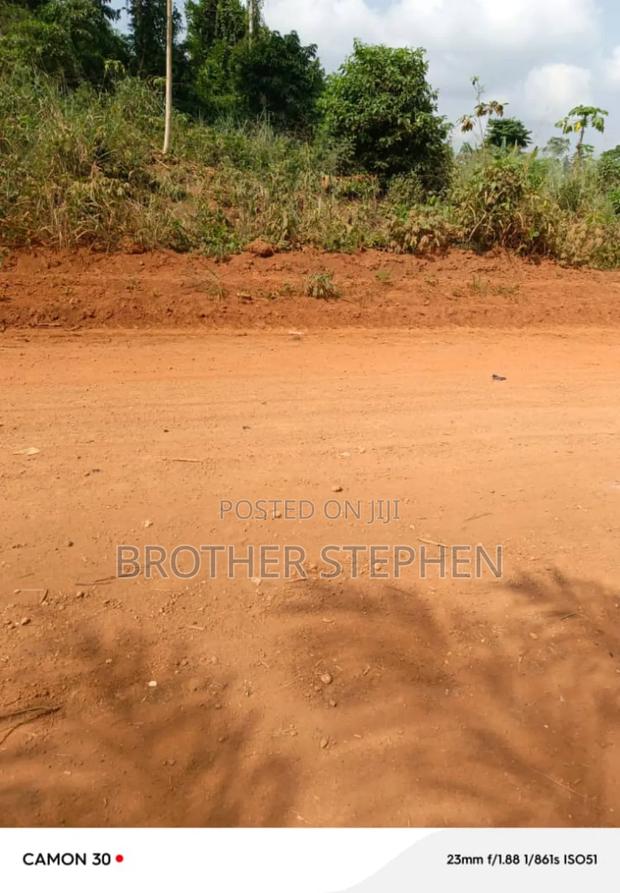 Registered Farmland for Sale at Asamankese. · Photo 3