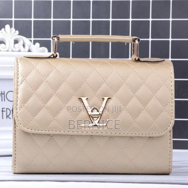 Beautiful Handbag photo 2