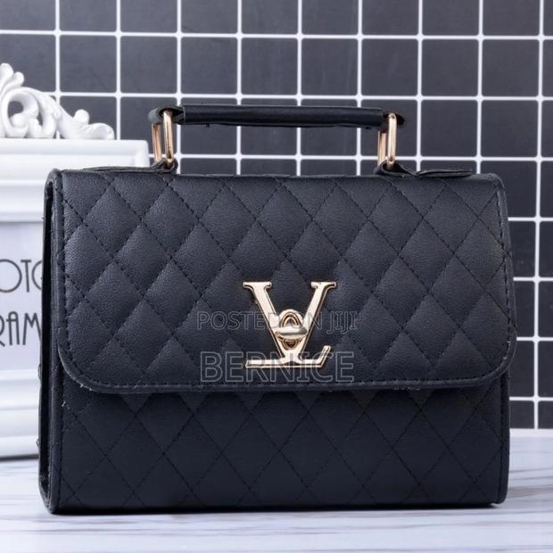 Beautiful Handbag photo 4