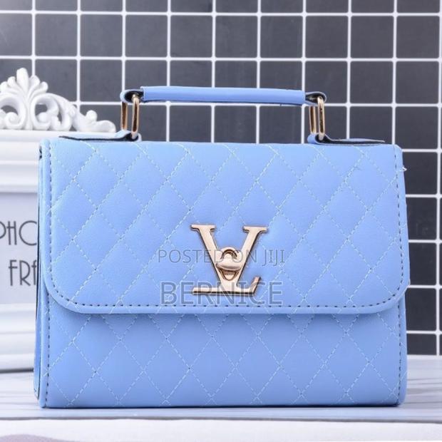 Beautiful Handbag photo 5