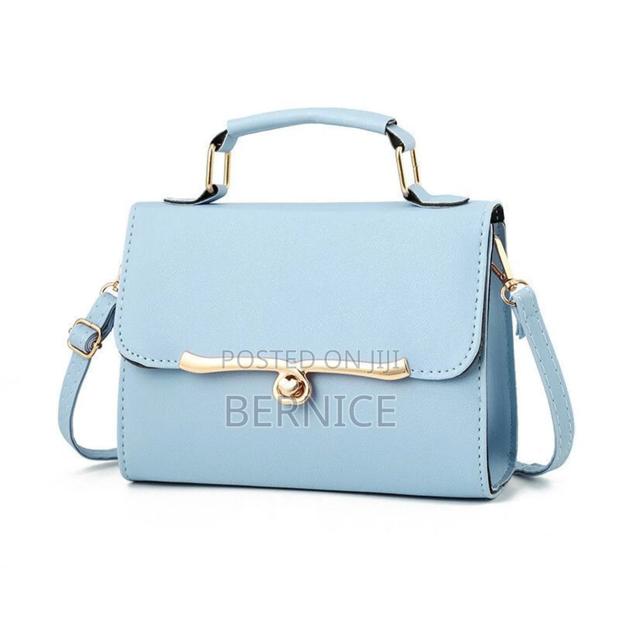 Elegant Handbag photo 4