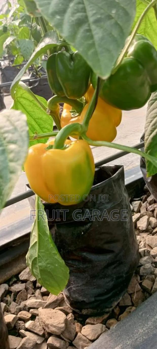 Deking Veggies · Photo 4