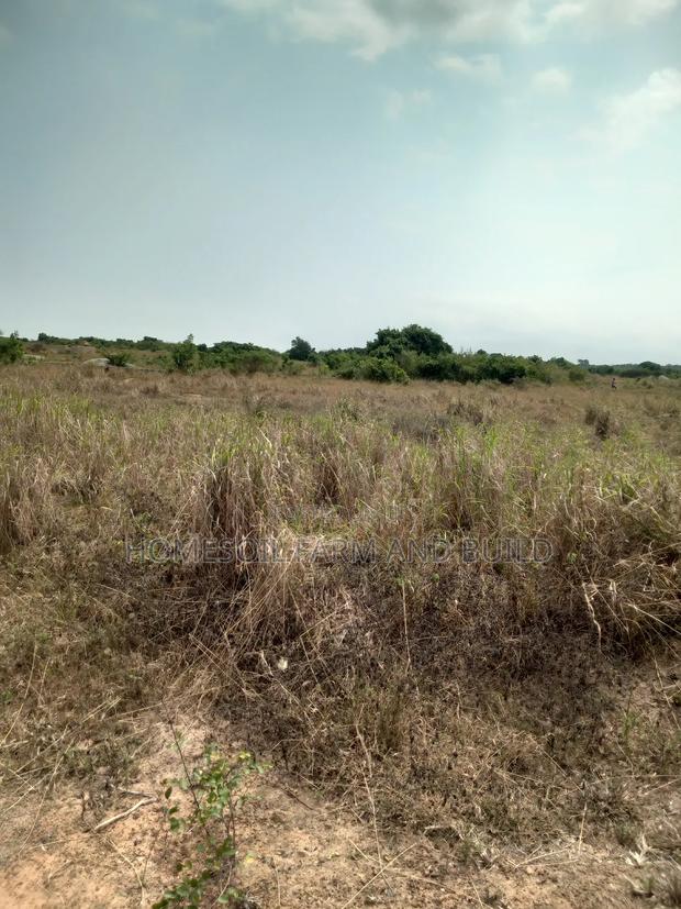8 Plots of Beautiful, Flat Terrain Land With Wide, Open View · Photo 2