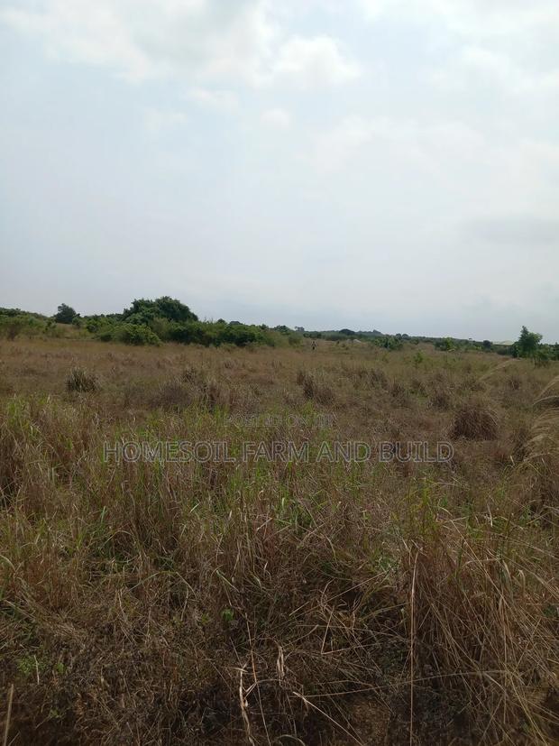 8 Plots of Beautiful, Flat Terrain Land With Wide, Open View · Photo 3