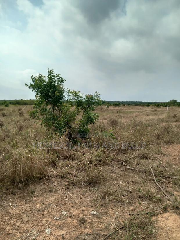 8 Plots of Beautiful, Flat Terrain Land With Wide, Open View · Photo 4