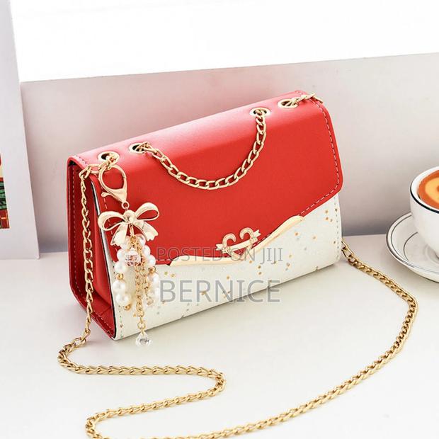 Sstylish and Elegant Bag