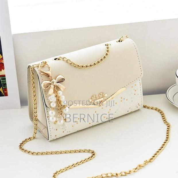 Sstylish and Elegant Bag photo 2