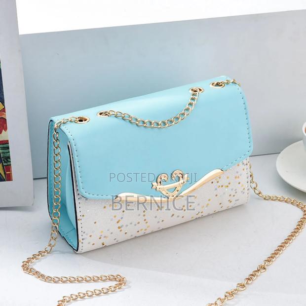 Sstylish and Elegant Bag photo 4